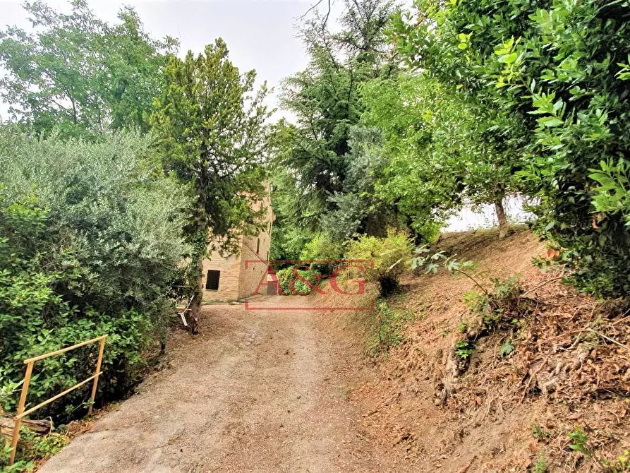 Immagine 36 di Rustico / casale in vendita  in belmonte piceno 11 a Belmonte Piceno