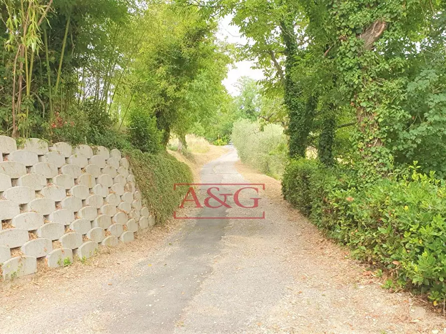 Immagine 37 di Rustico / casale in vendita  in belmonte piceno 11 a Belmonte Piceno