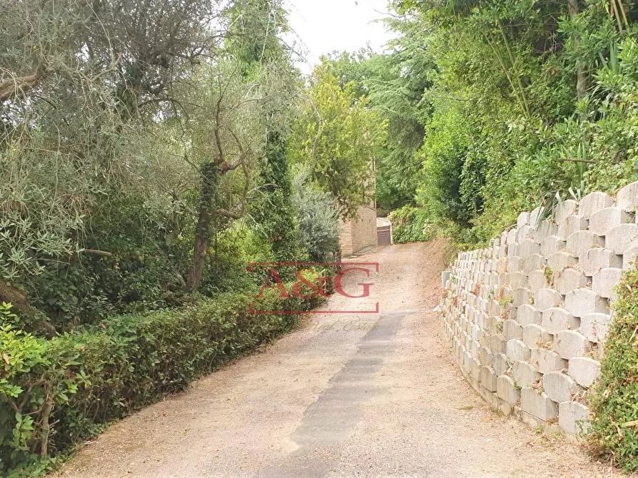 Immagine 38 di Rustico / casale in vendita  in belmonte piceno 11 a Belmonte Piceno