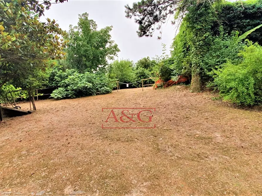 Immagine 39 di Rustico / casale in vendita  in belmonte piceno 11 a Belmonte Piceno