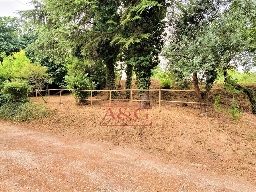 Immagine 41 di Rustico / casale in vendita  in belmonte piceno 11 a Belmonte Piceno