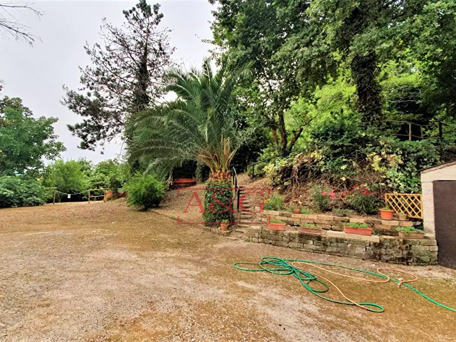 Immagine 42 di Rustico / casale in vendita  in belmonte piceno 11 a Belmonte Piceno