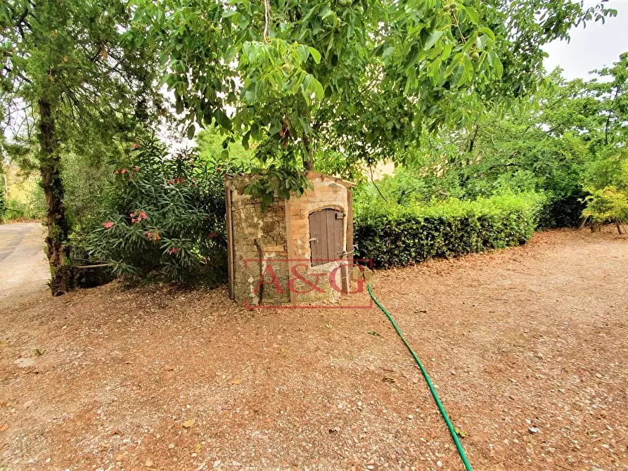 Immagine 43 di Rustico / casale in vendita  in belmonte piceno 11 a Belmonte Piceno