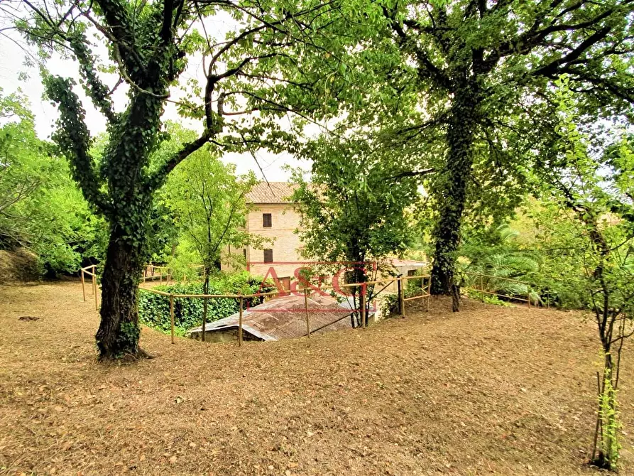 Immagine 44 di Rustico / casale in vendita  in belmonte piceno 11 a Belmonte Piceno