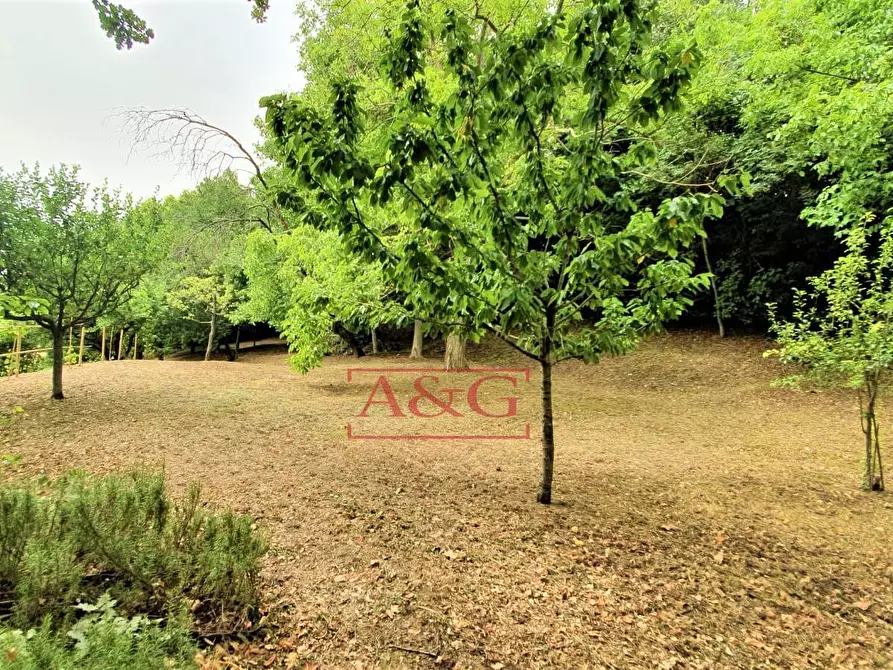 Immagine 45 di Rustico / casale in vendita  in belmonte piceno 11 a Belmonte Piceno