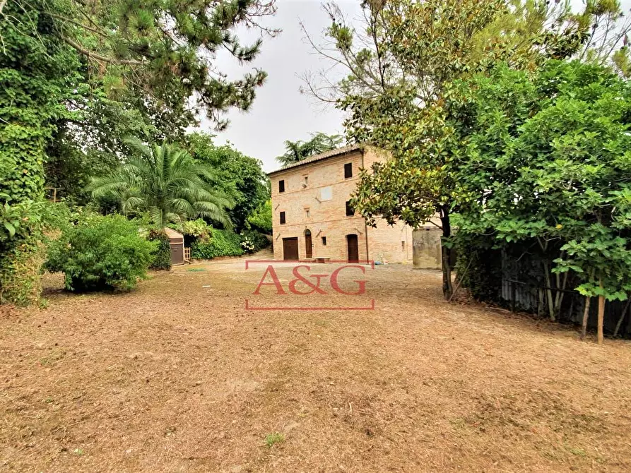 Immagine 47 di Rustico / casale in vendita  in belmonte piceno 11 a Belmonte Piceno