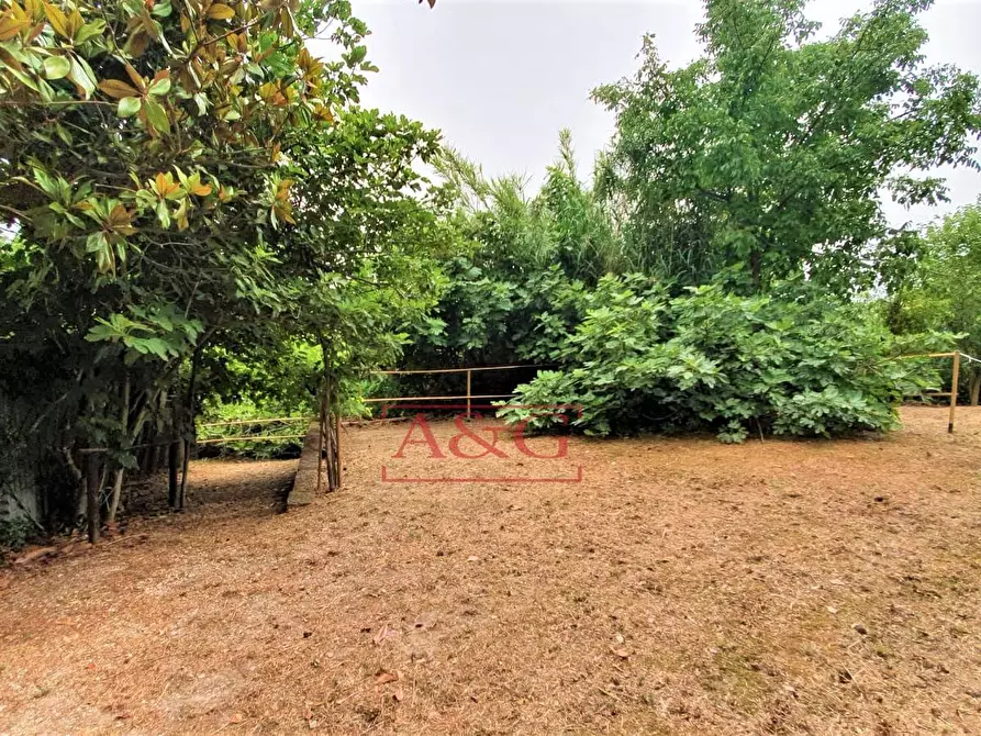 Immagine 48 di Rustico / casale in vendita  in belmonte piceno 11 a Belmonte Piceno