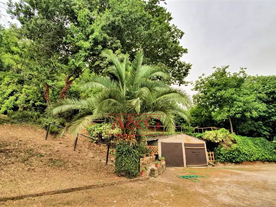 Immagine 49 di Rustico / casale in vendita  in belmonte piceno 11 a Belmonte Piceno