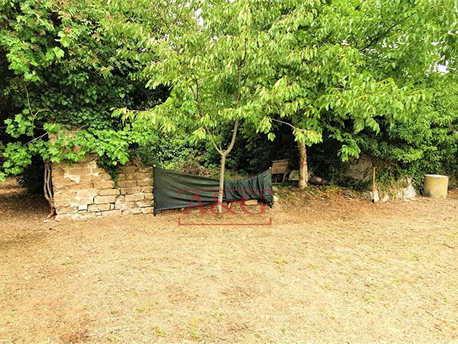 Immagine 50 di Rustico / casale in vendita  in belmonte piceno 11 a Belmonte Piceno