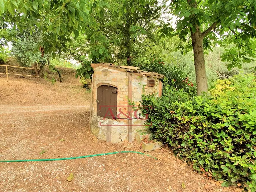 Immagine 52 di Rustico / casale in vendita  in belmonte piceno 11 a Belmonte Piceno