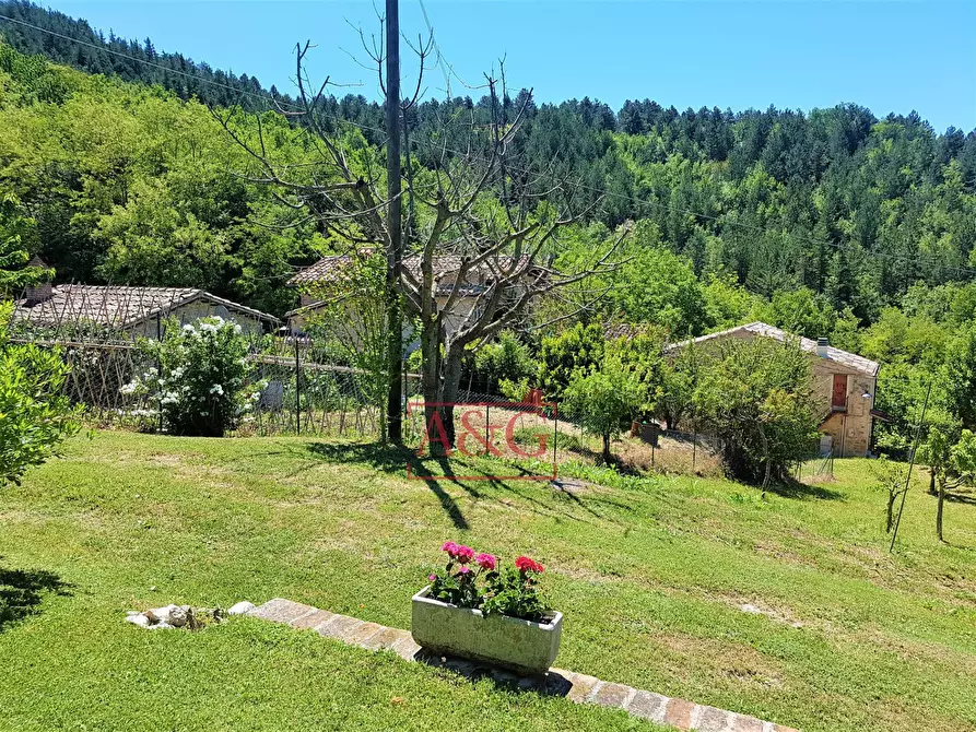 Immagine 20 di Casa indipendente in vendita  in Contrada Colle Chiaro a Comunanza