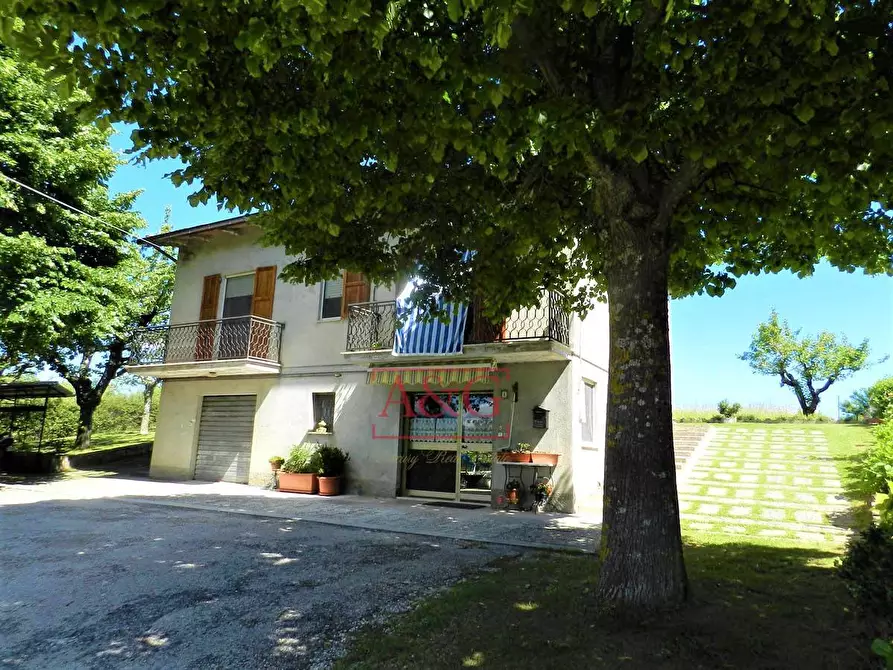 Immagine 34 di Casa indipendente in vendita  in Contrada Colle Chiaro a Comunanza