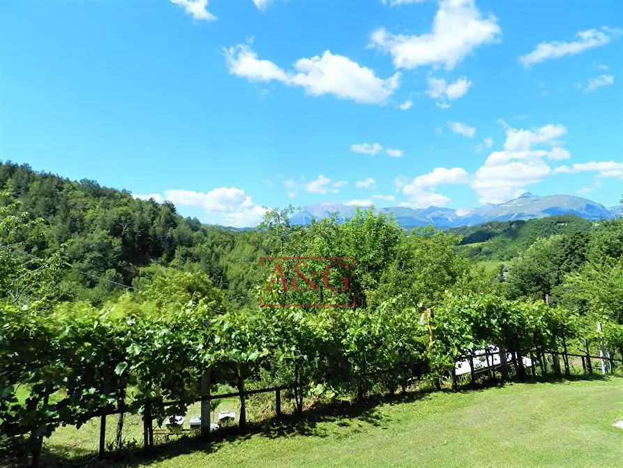 Immagine 37 di Casa indipendente in vendita  in Contrada Colle Chiaro a Comunanza