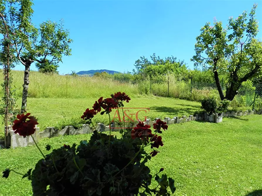 Immagine 42 di Casa indipendente in vendita  in Contrada Colle Chiaro a Comunanza