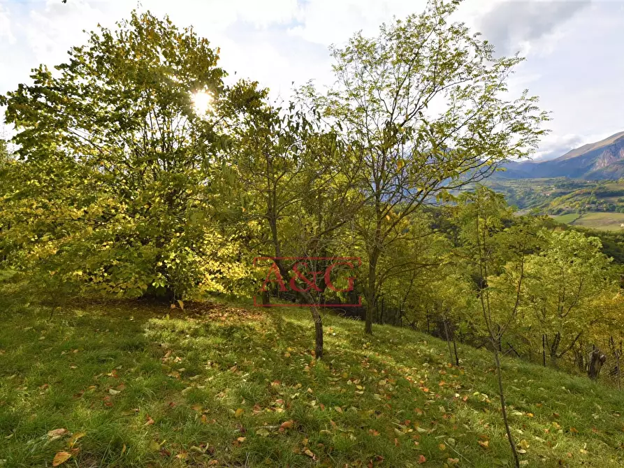 Immagine 50 di Villa in vendita  in Loc. Montazzolino 10 a Montefortino