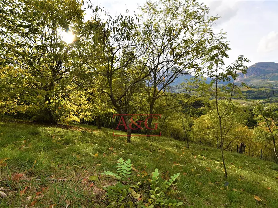 Immagine 51 di Villa in vendita  in Loc. Montazzolino 10 a Montefortino