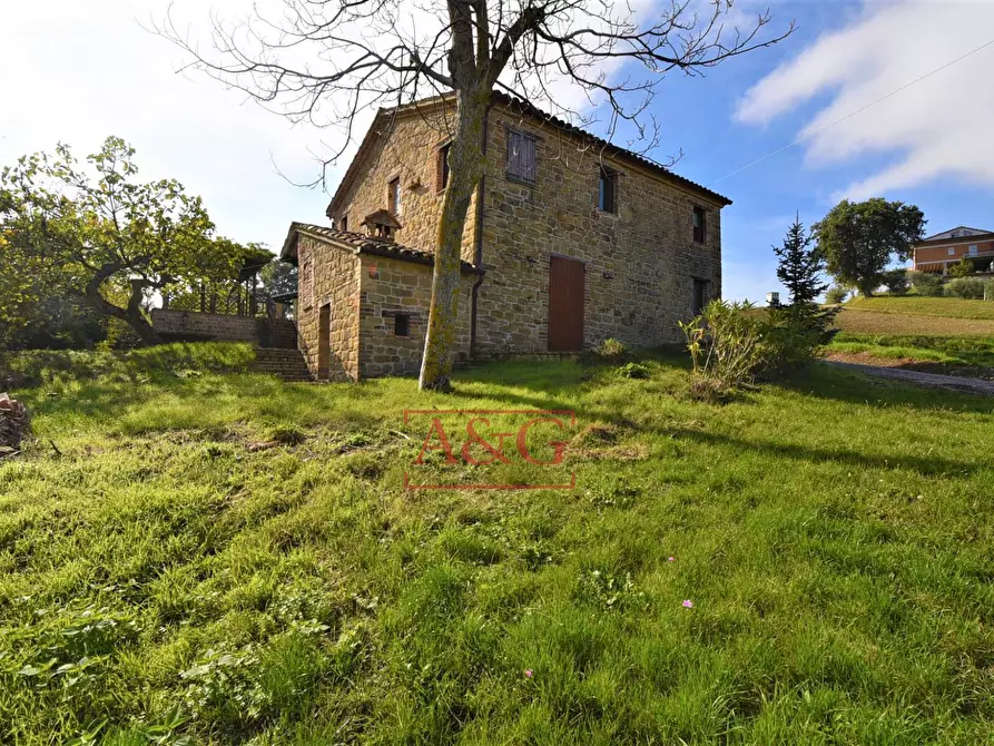 Immagine 56 di Rustico / casale in vendita  in C.DA VALLE a Gualdo