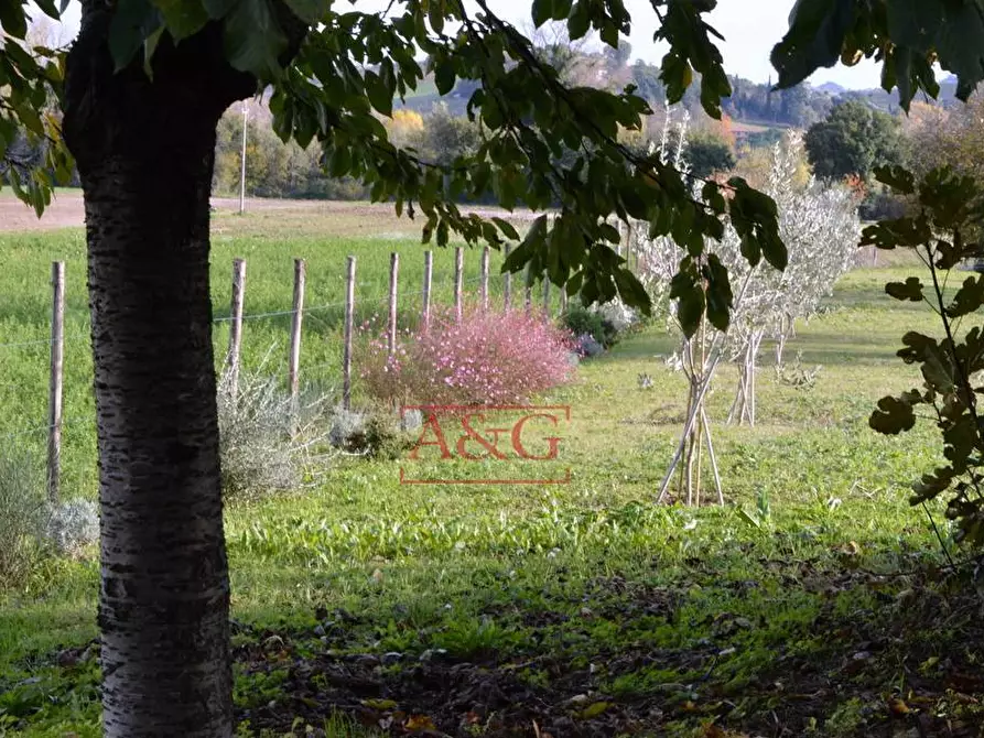 Immagine 52 di Villa in vendita  in Via Tenna 4 a Magliano Di Tenna