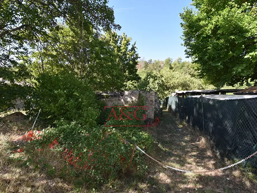 Immagine 26 di Rustico / casale in vendita  in contrada s. biagio a Montefalcone Appennino