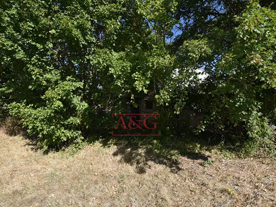 Immagine 25 di Rustico / casale in vendita  in contrada s. biagio a Montefalcone Appennino