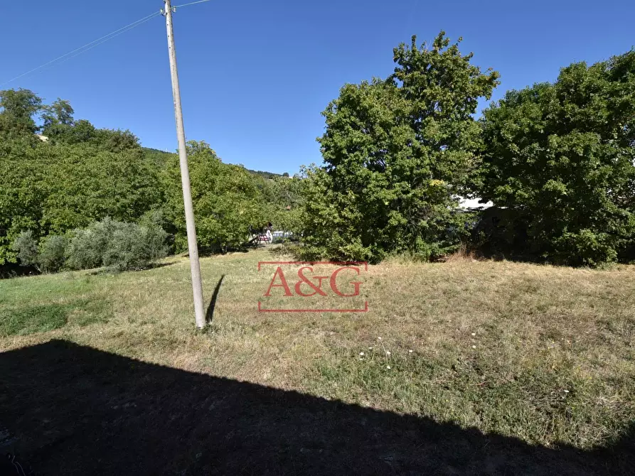 Immagine 22 di Rustico / casale in vendita  in contrada s. biagio a Montefalcone Appennino