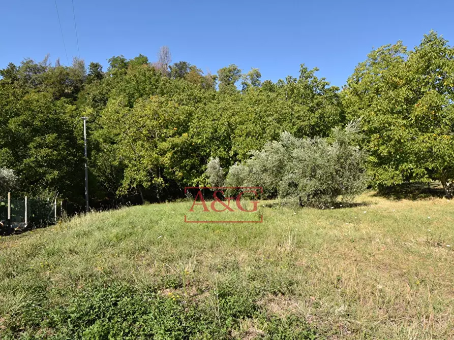 Immagine 20 di Rustico / casale in vendita  in contrada s. biagio a Montefalcone Appennino