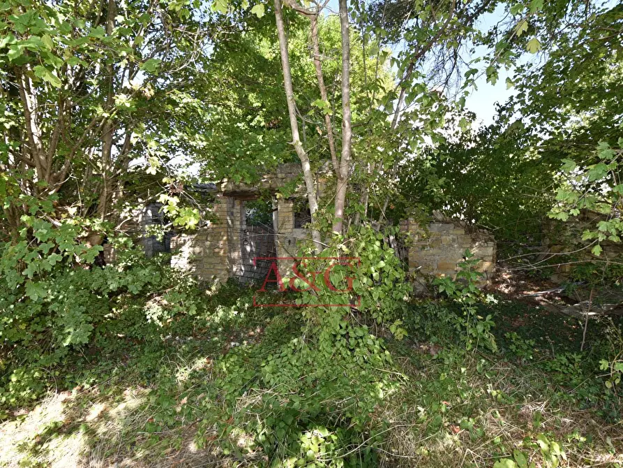 Immagine 24 di Rustico / casale in vendita  in contrada s. biagio a Montefalcone Appennino