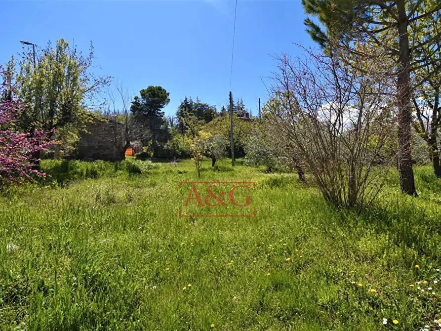 Immagine 46 di Rustico / casale in vendita  in Via Strada 58 a Gualdo