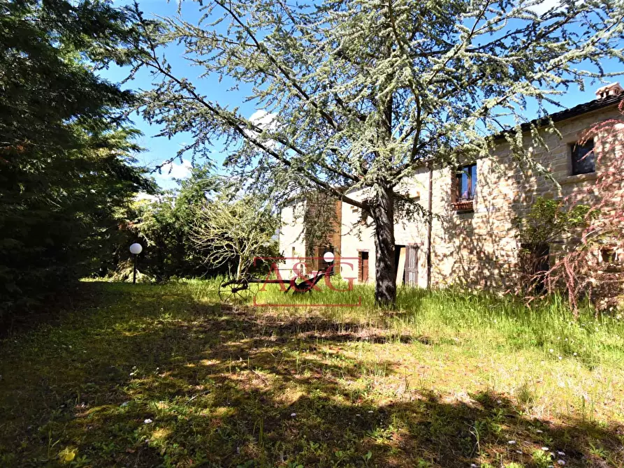 Immagine 38 di Rustico / casale in vendita  in Via Strada 58 a Gualdo