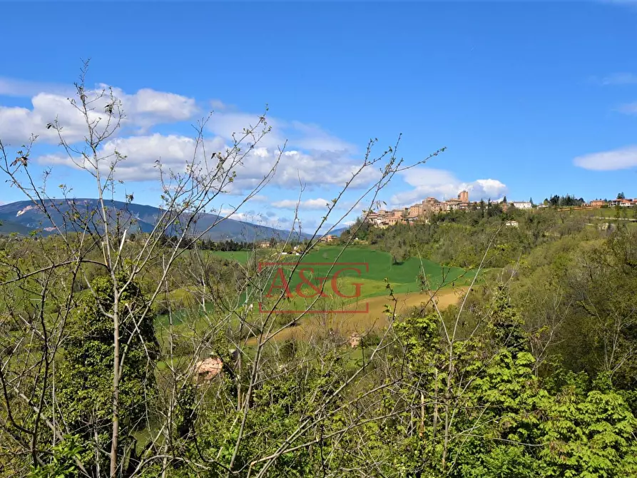 Immagine 44 di Rustico / casale in vendita  in Via Strada 58 a Gualdo