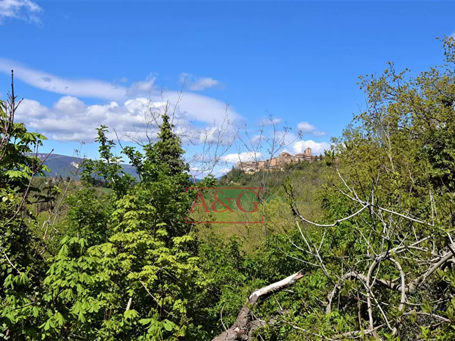 Immagine 43 di Rustico / casale in vendita  in Via Strada 58 a Gualdo