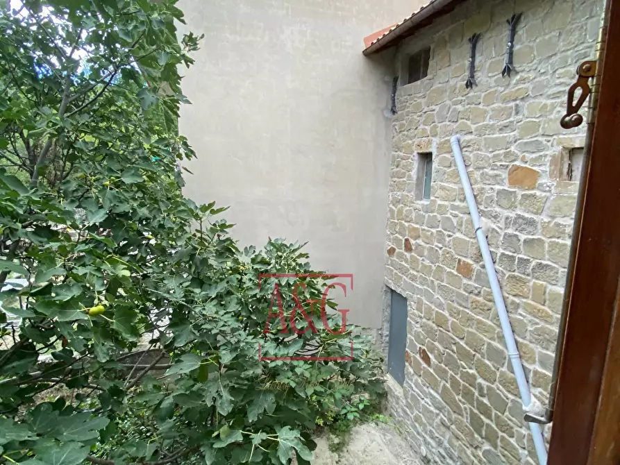 Immagine 31 di Casa indipendente in vendita  in Località Piano a Montegallo