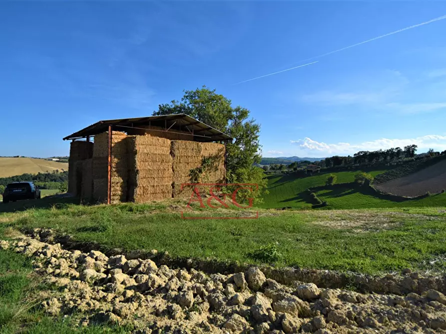Immagine 20 di Rustico / casale in vendita  in Contrada Casale 8 a Appignano