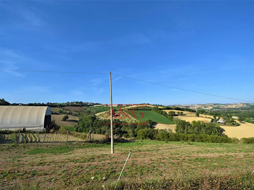 Immagine 22 di Rustico / casale in vendita  in Contrada Casale 8 a Appignano