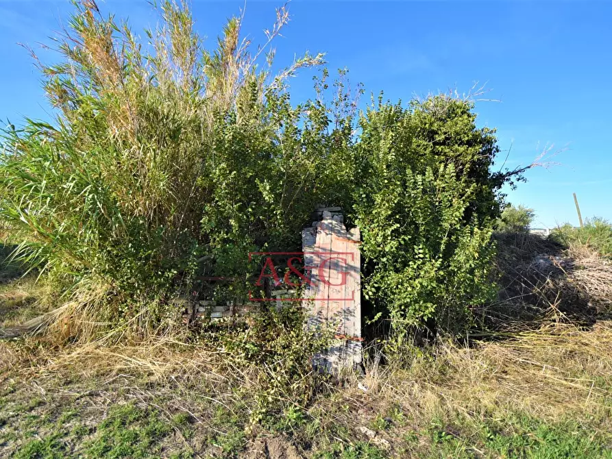 Immagine 23 di Rustico / casale in vendita  in Contrada Casale 8 a Appignano