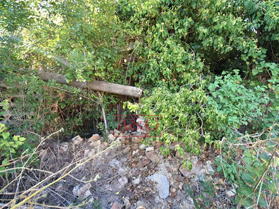 Immagine 24 di Rustico / casale in vendita  in Contrada Casale 8 a Appignano