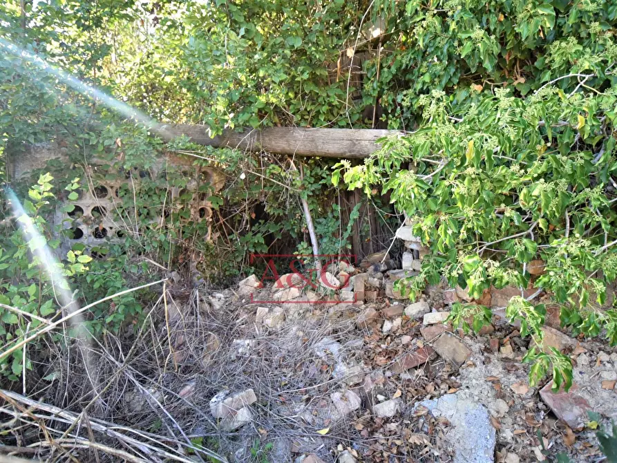 Immagine 25 di Rustico / casale in vendita  in Contrada Casale 8 a Appignano