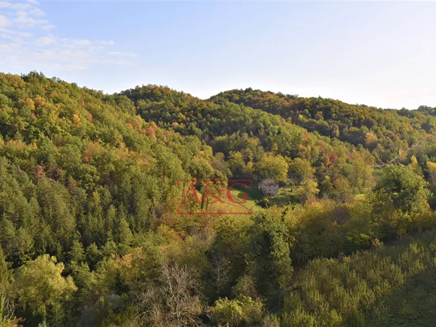 Immagine 33 di Appartamento in vendita  in Via Rio a Montefortino