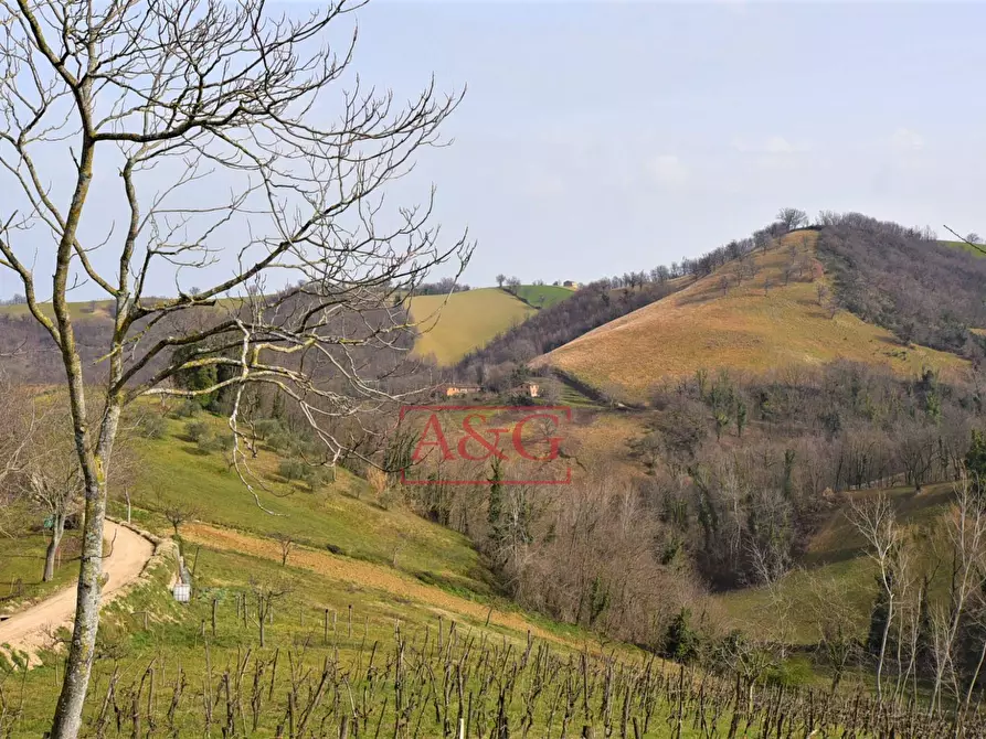 Immagine 27 di Casa indipendente in vendita  in Località Villa Cese a Amandola