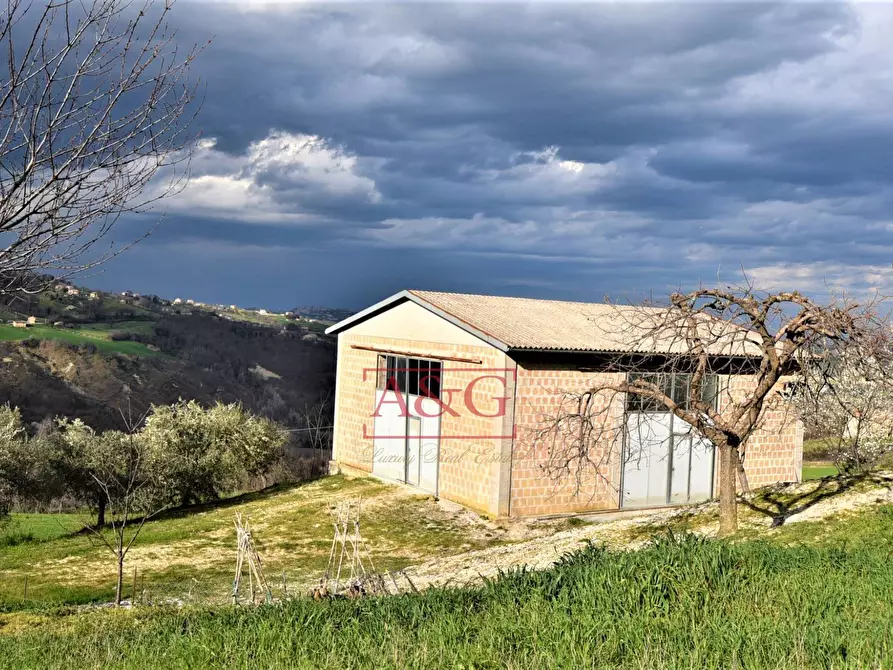 Immagine 23 di Rustico / casale in vendita  in VIA BARCHETTA snc a Monte San Martino