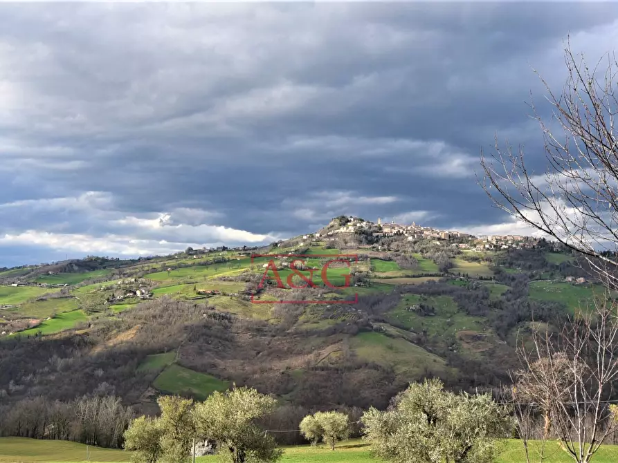 Immagine 50 di Rustico / casale in vendita  in VIA BARCHETTA snc a Monte San Martino