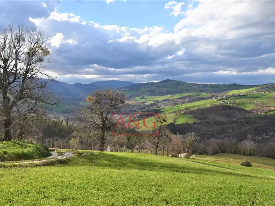 Immagine 49 di Rustico / casale in vendita  in VIA BARCHETTA snc a Monte San Martino