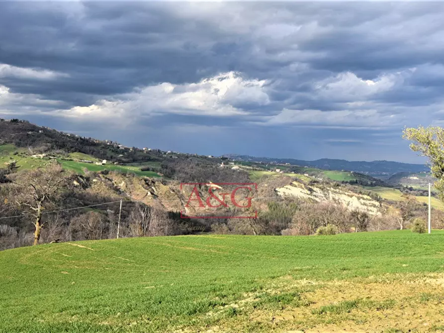 Immagine 51 di Rustico / casale in vendita  in VIA BARCHETTA snc a Monte San Martino