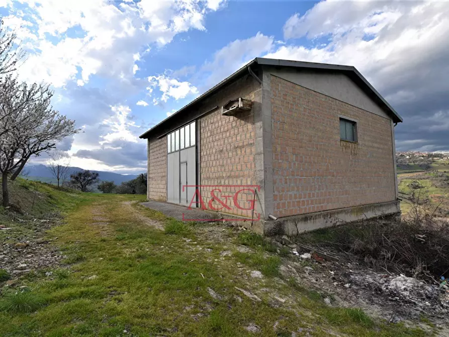 Immagine 24 di Rustico / casale in vendita  in VIA BARCHETTA snc a Monte San Martino