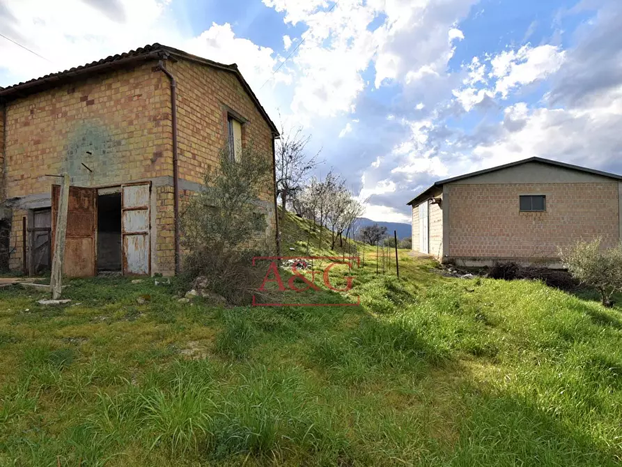 Immagine 22 di Rustico / casale in vendita  in VIA BARCHETTA snc a Monte San Martino