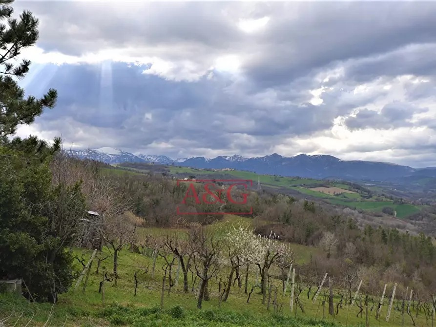 Immagine 52 di Rustico / casale in vendita  in VIA BARCHETTA snc a Monte San Martino