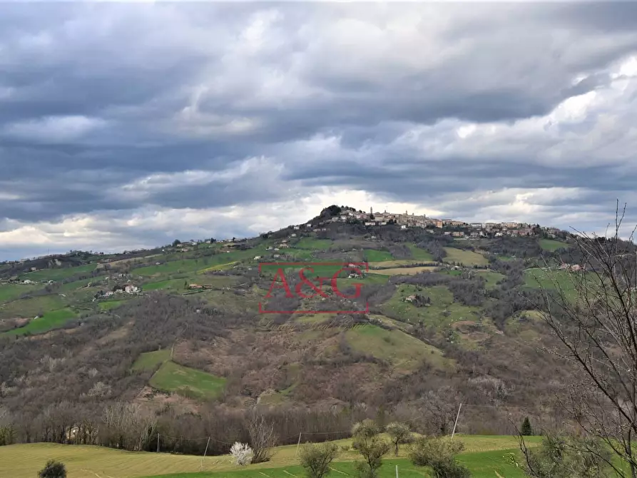 Immagine 47 di Rustico / casale in vendita  in VIA BARCHETTA snc a Monte San Martino