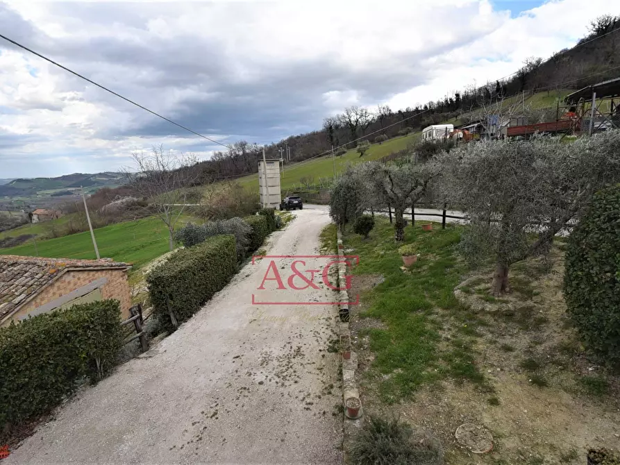 Immagine 27 di Rustico / casale in vendita  in VIA BARCHETTA snc a Monte San Martino