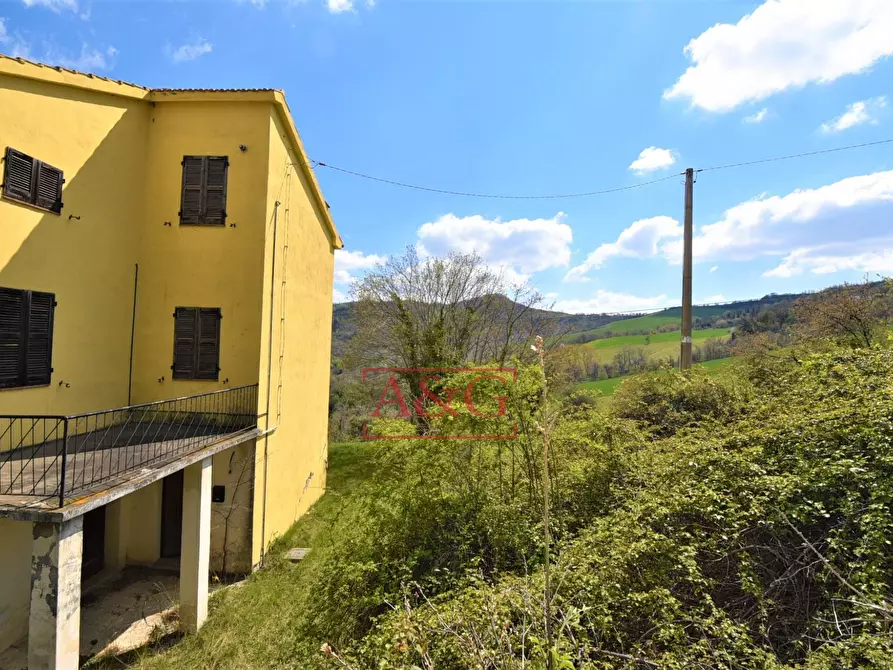 Immagine 7 di Rustico / casale in vendita  in montefalcone a Montefalcone Appennino