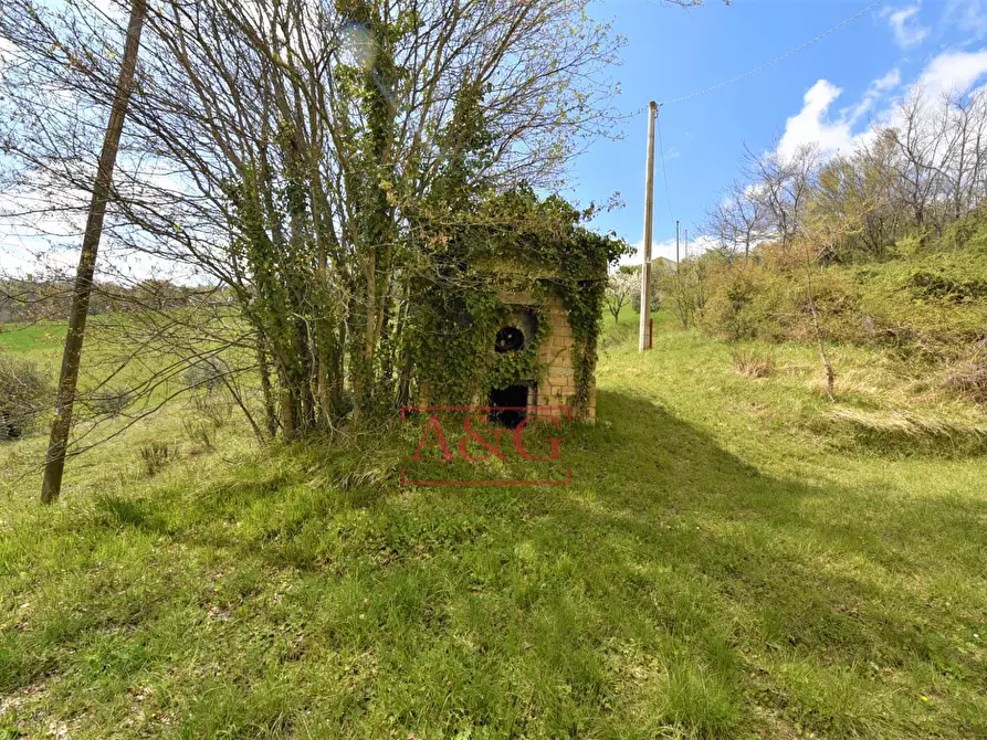 Immagine 8 di Rustico / casale in vendita  in montefalcone a Montefalcone Appennino